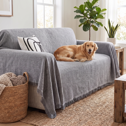 Minimalist Couch Cover – Solid Neutral – with a dog on the sofa